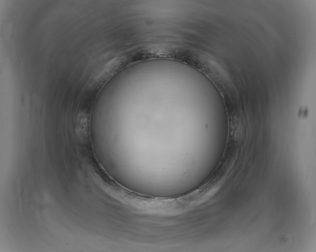 X0000090890036200707271341