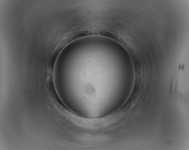 X0000090890038200707271341