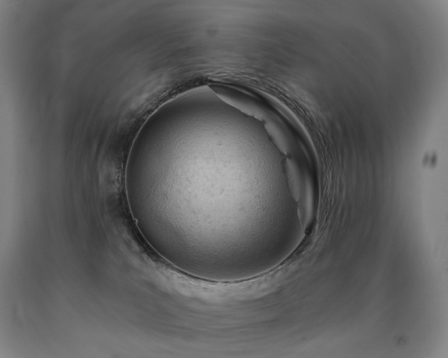 X0000090890039200707271341