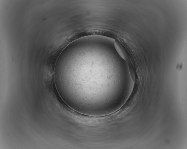 X0000090890040200707271341