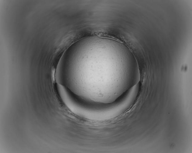 X0000090890041200707271341