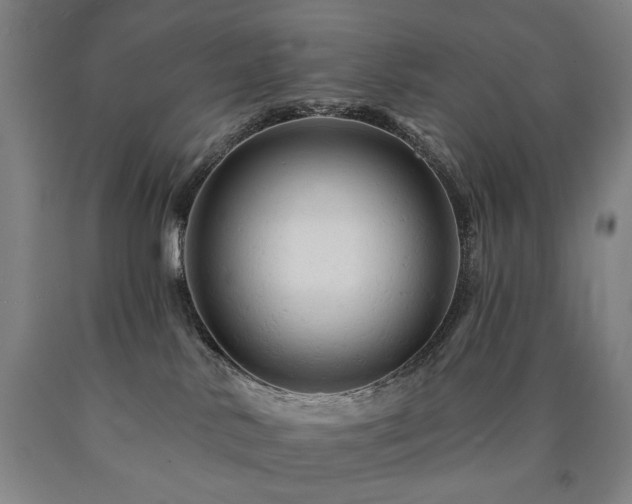 X0000090890042200707271341