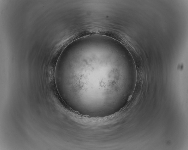 X0000090890043200707271341