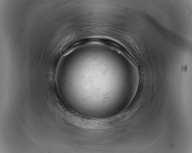 X0000090890044200707271341