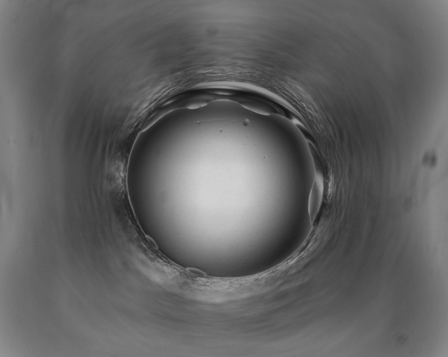 X0000090890045200707271341