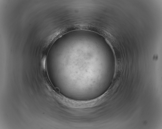 X0000090890047200707271341