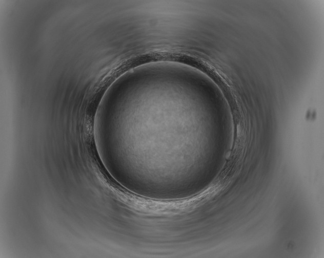 X0000090890048200707271341