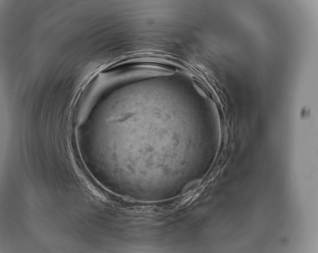 X0000090890049200707271340