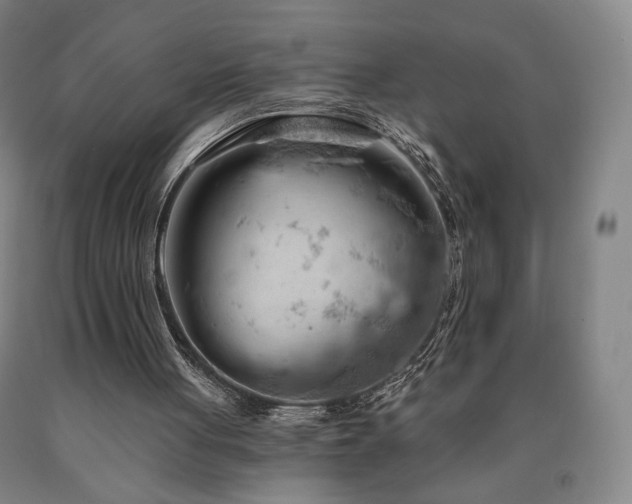 X0000090890051200707271340