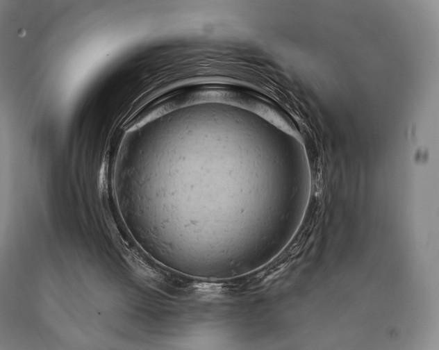 X0000090890052200707271340