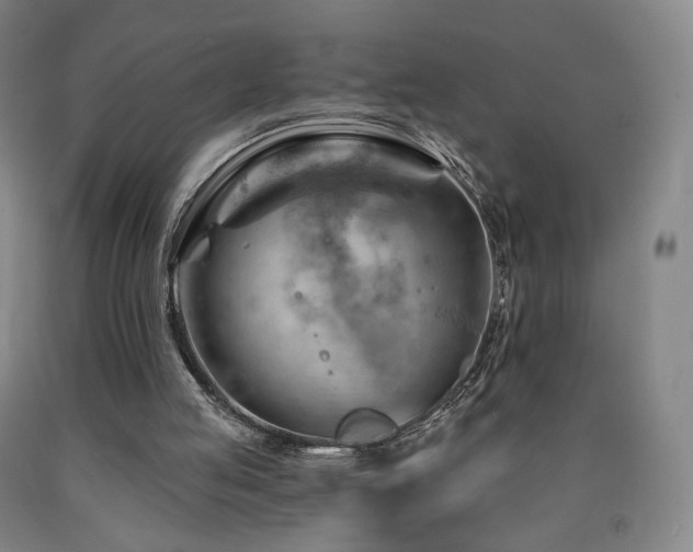 X0000090890053200707271340