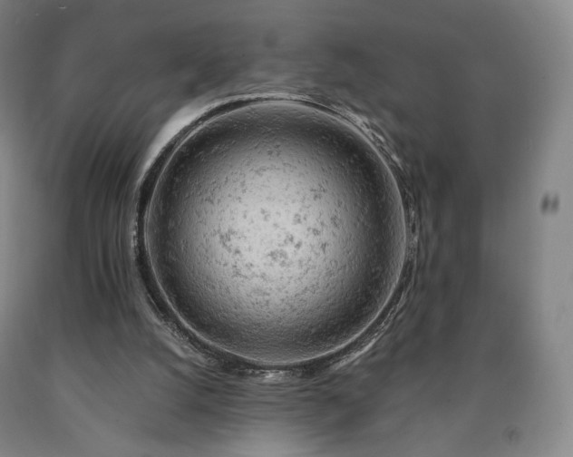 X0000090890056200707271341