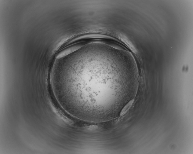 X0000090890058200707271341