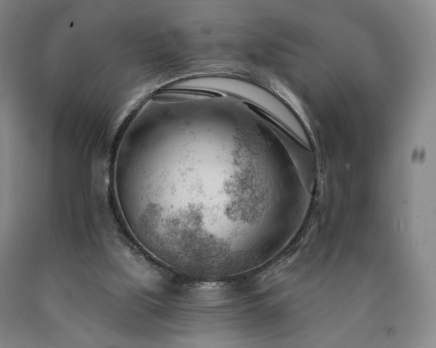 X0000090890059200707271341