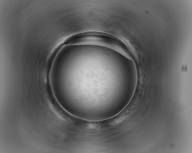 X0000090890060200707271341