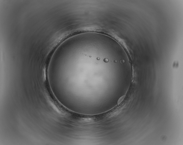 X0000090890061200707271341