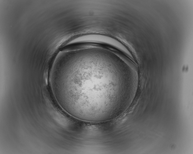 X0000090890062200707271341