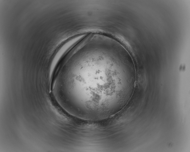 X0000090890063200707271341