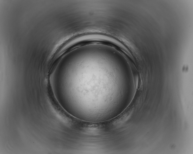 X0000090890064200707271341