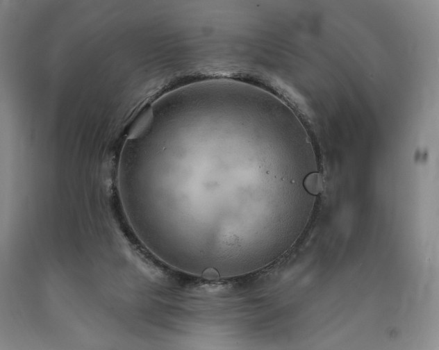 X0000090890065200707271341