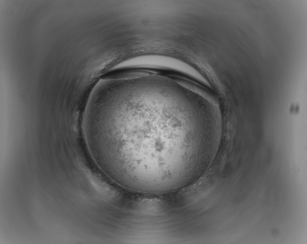 X0000090890066200707271341