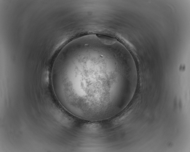 X0000090890067200707271341