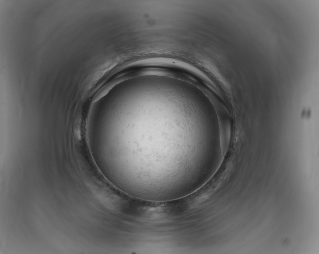 X0000090890068200707271341