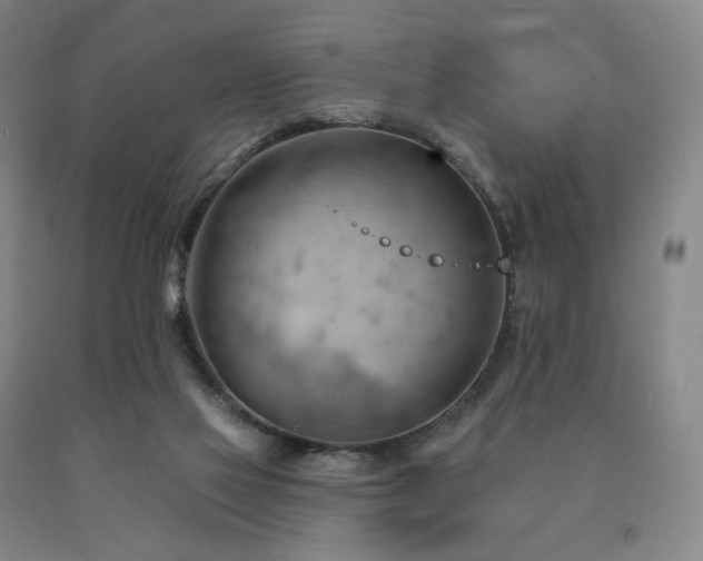 X0000090890069200707271341