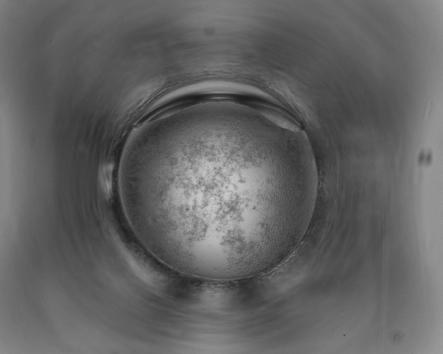 X0000090890070200707271341