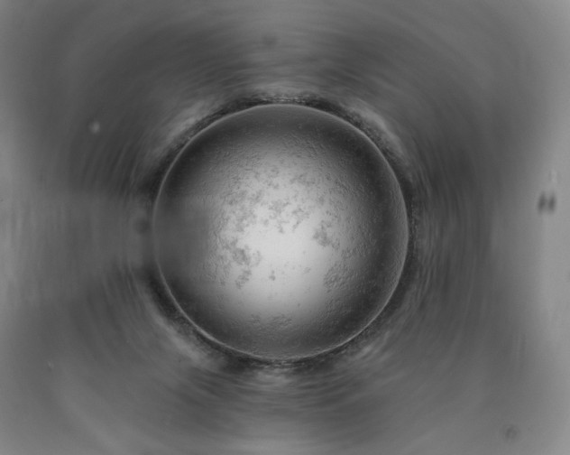 X0000090890071200707271341