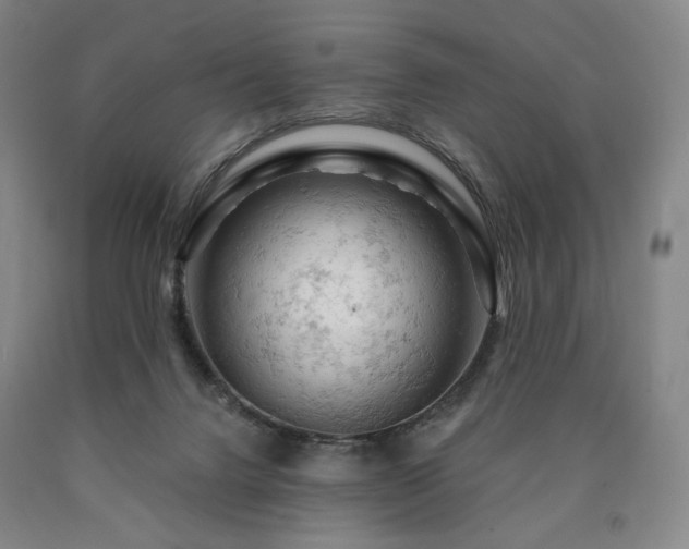 X0000090890072200707271341