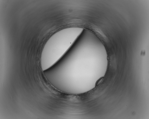 X0000090890073200707271341