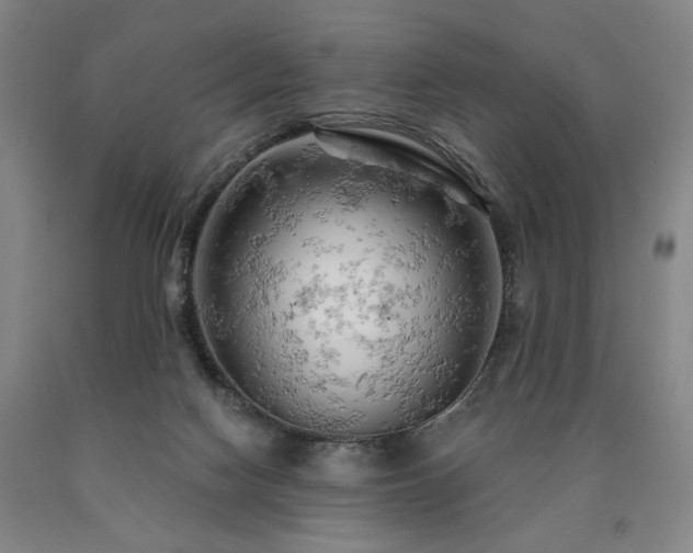 X0000090890074200707271341