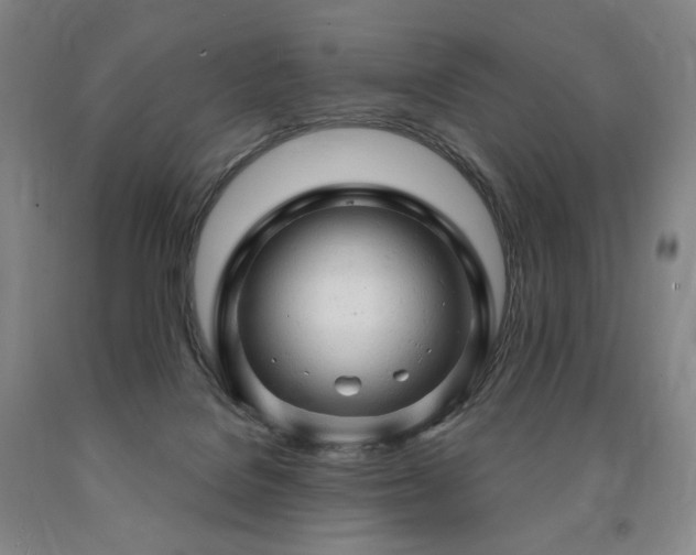 X0000090890076200707271341