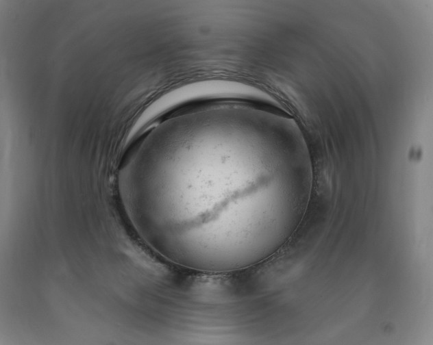 X0000090890077200707271341