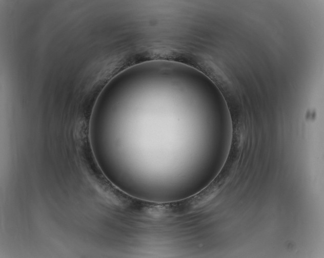 X0000090890079200707271341