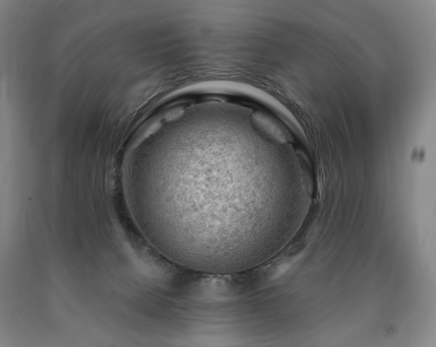 X0000090890080200707271341