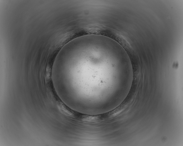 X0000090890081200707271341