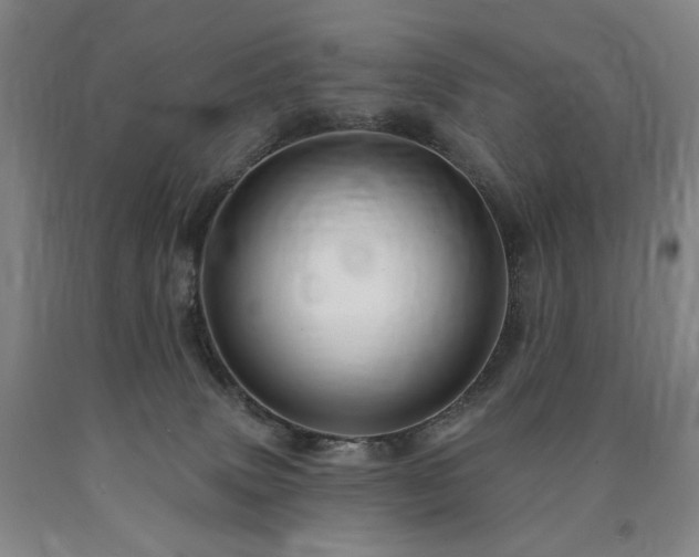 X0000090890083200707271341