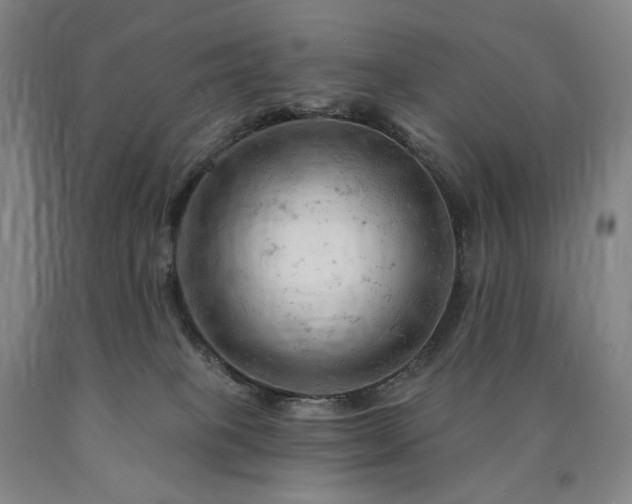 X0000090890085200707271341