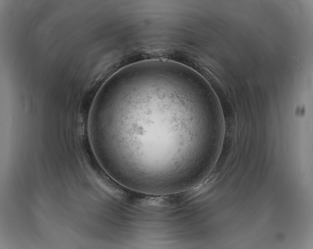 X0000090890086200707271341