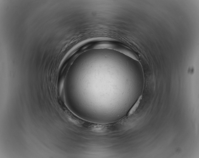 X0000090890088200707271341