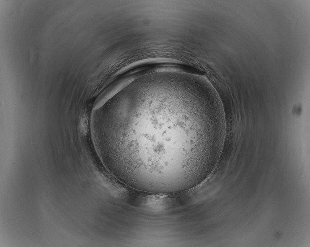 X0000090890090200707271341