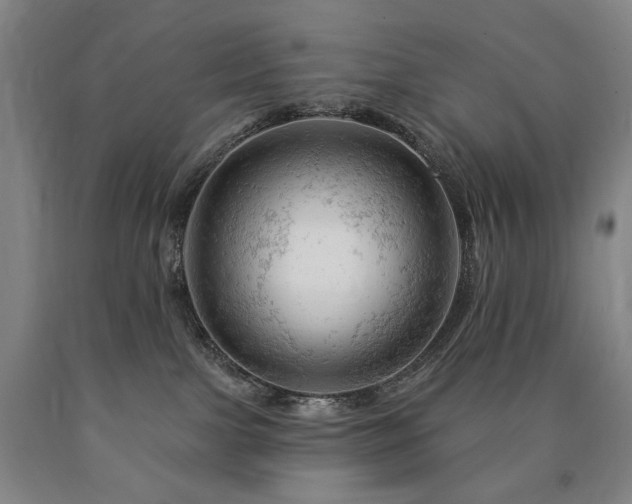 X0000090890091200707271341