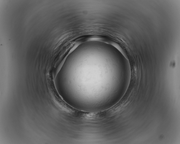 X0000090890092200707271341