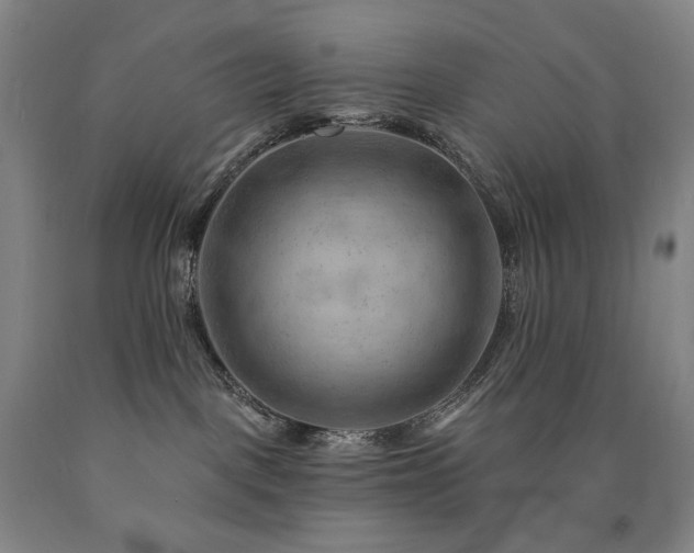 X0000090890093200707271341