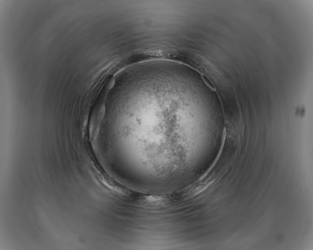 X0000090890095200707271341