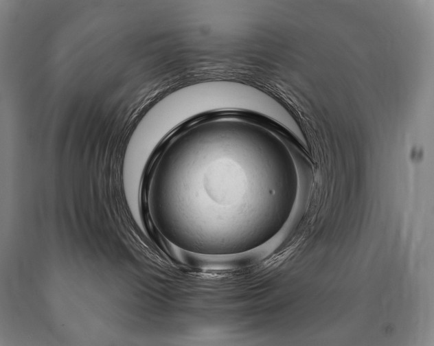 X0000090890096200707271341