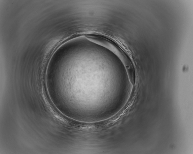 X0000090890097200707271340