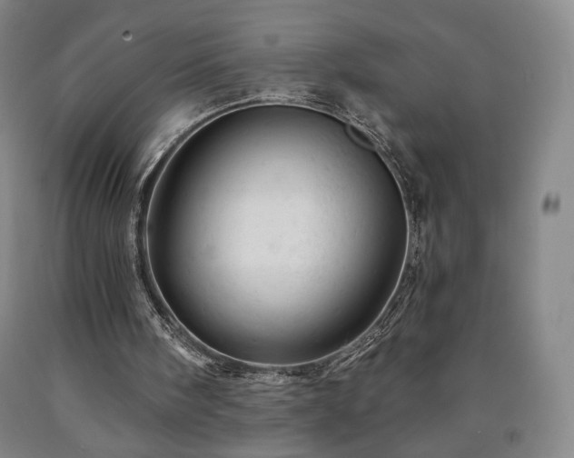 X0000090890098200707271340